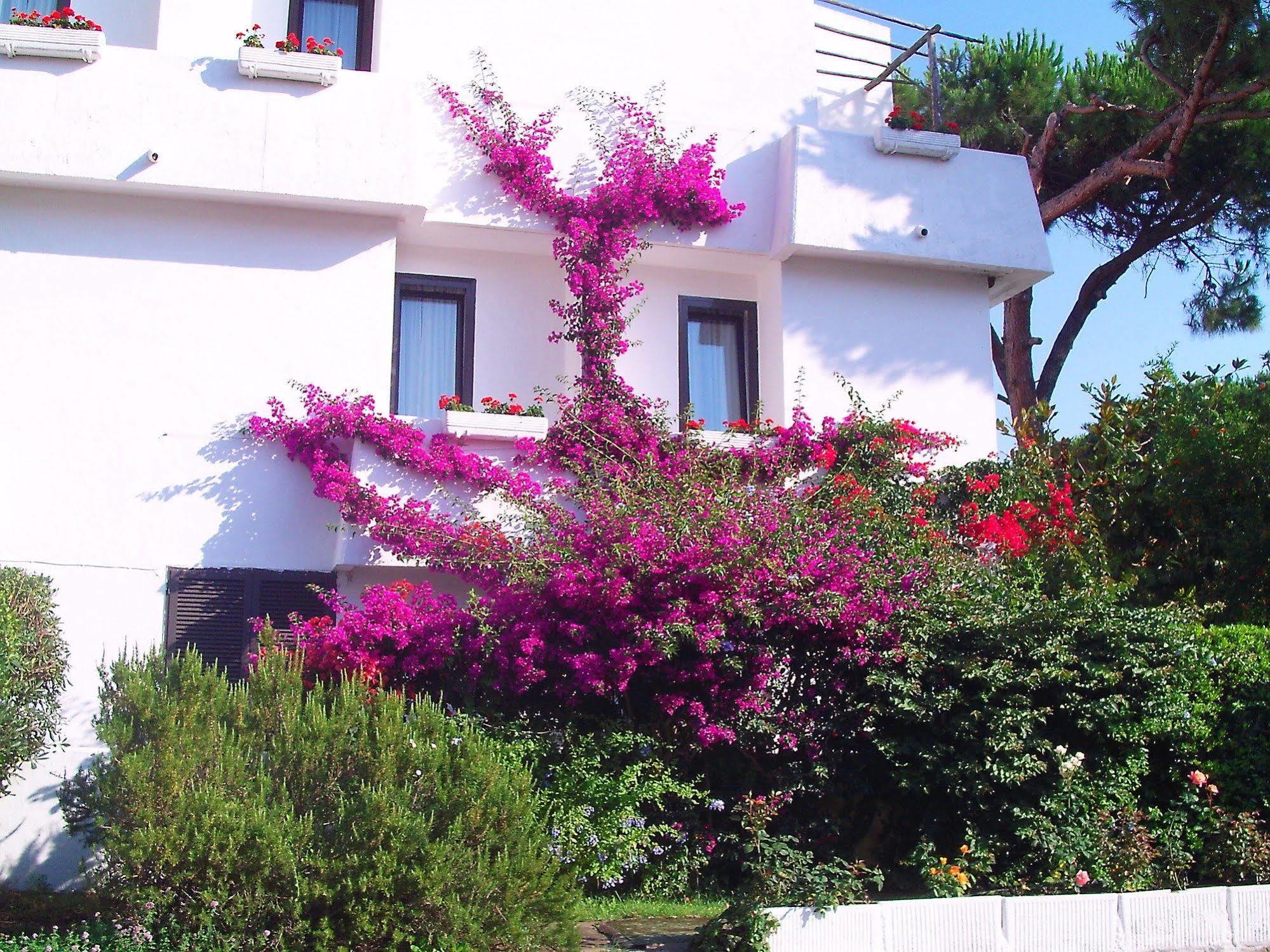 Hotel Della Baia