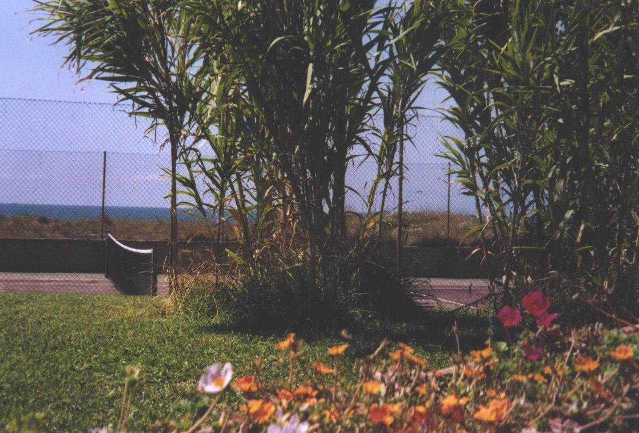 Della Baia